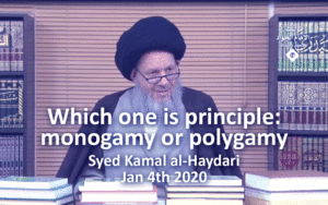 Which one is principle: monogamy or polygamy