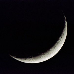 ماہ ذیقعد ۱۴۳۹ہجری کے چاند کا اعلان