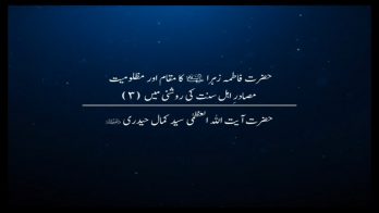 حضرت فاطمہ زہراء(ع) کا مقام اور مظلومیت مصادرِ اہل سنت کی روشنی میں 3